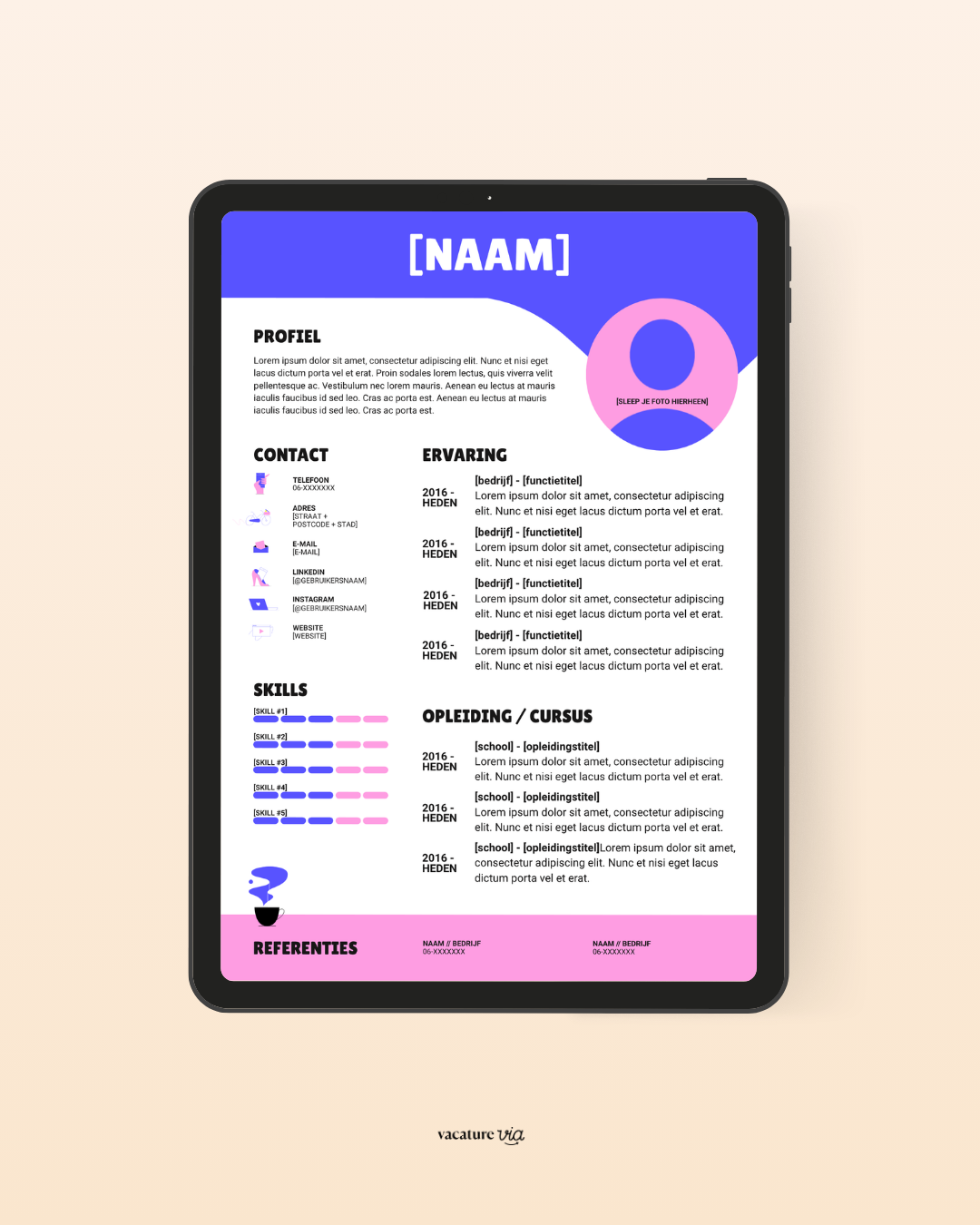 CV Template 1