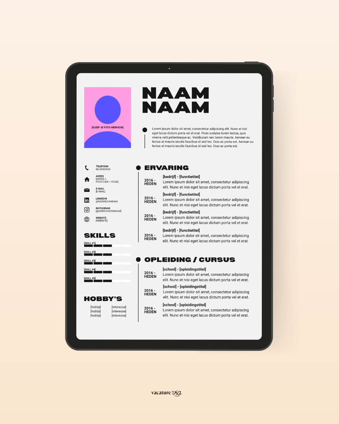 CV Template 2