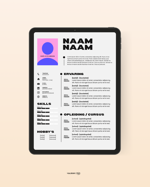 CV Template 2