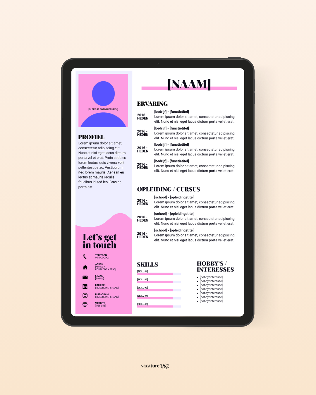 CV Template 3