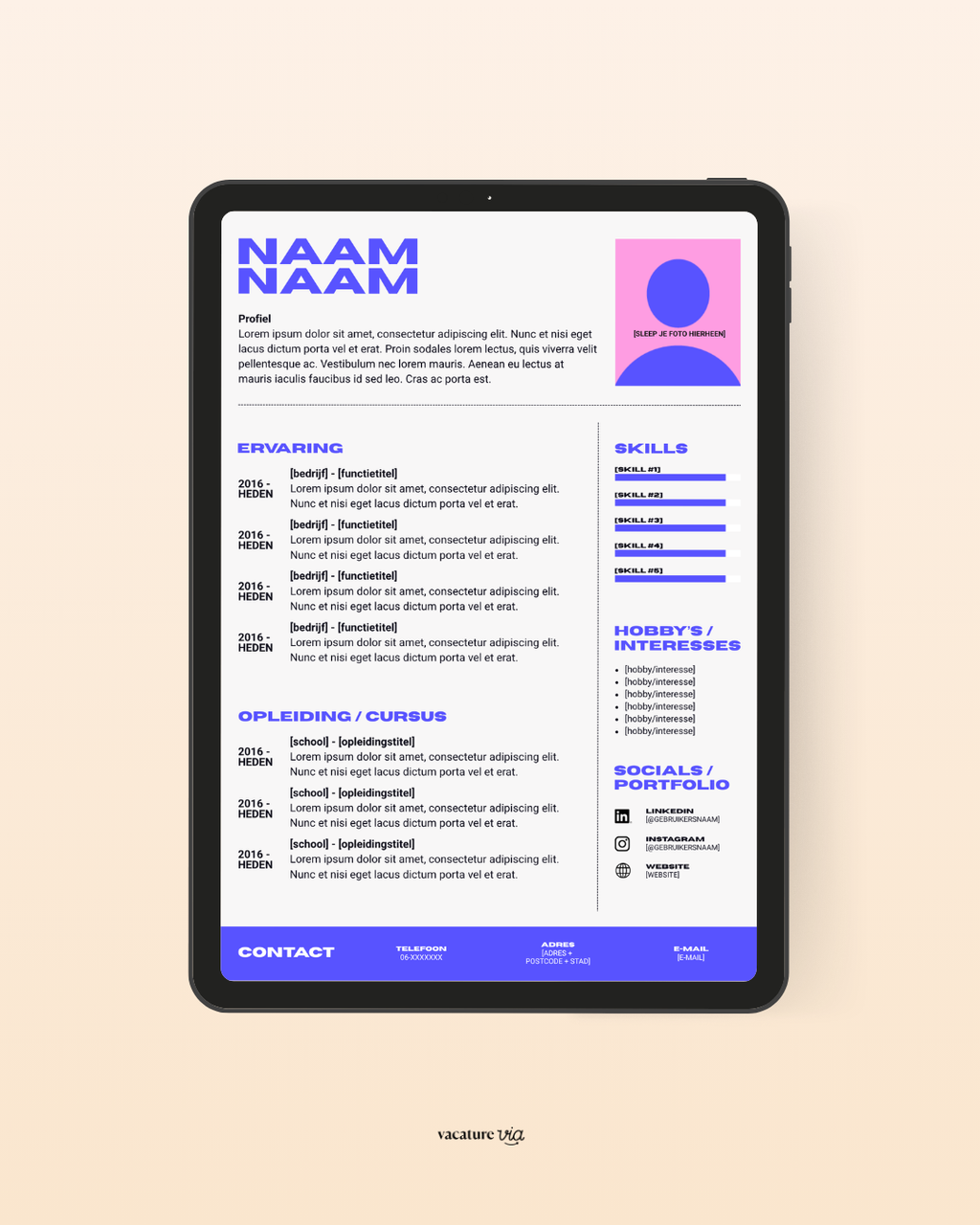 CV Template 4
