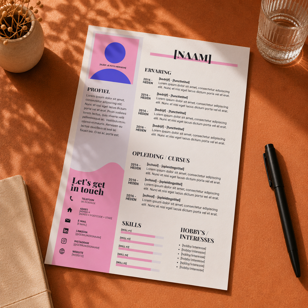 CV Template 3