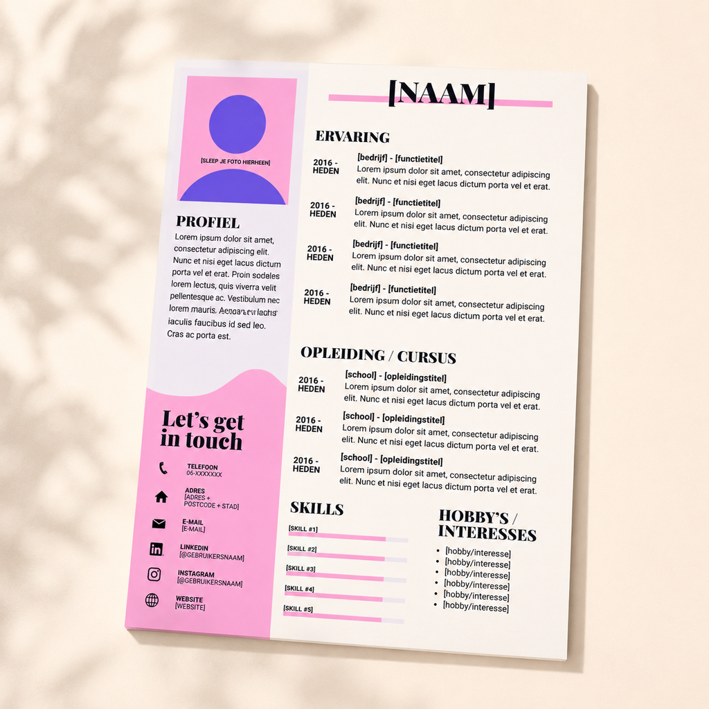 CV Template 3