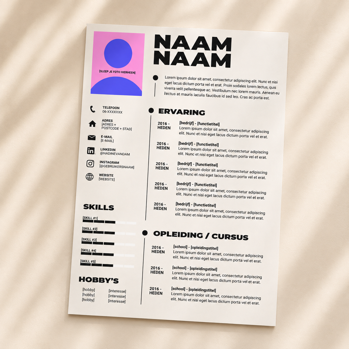 CV Template 2